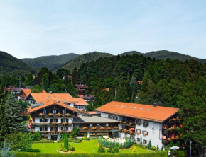 Гостиница Hotel Alpenhof  Бад-Виззее